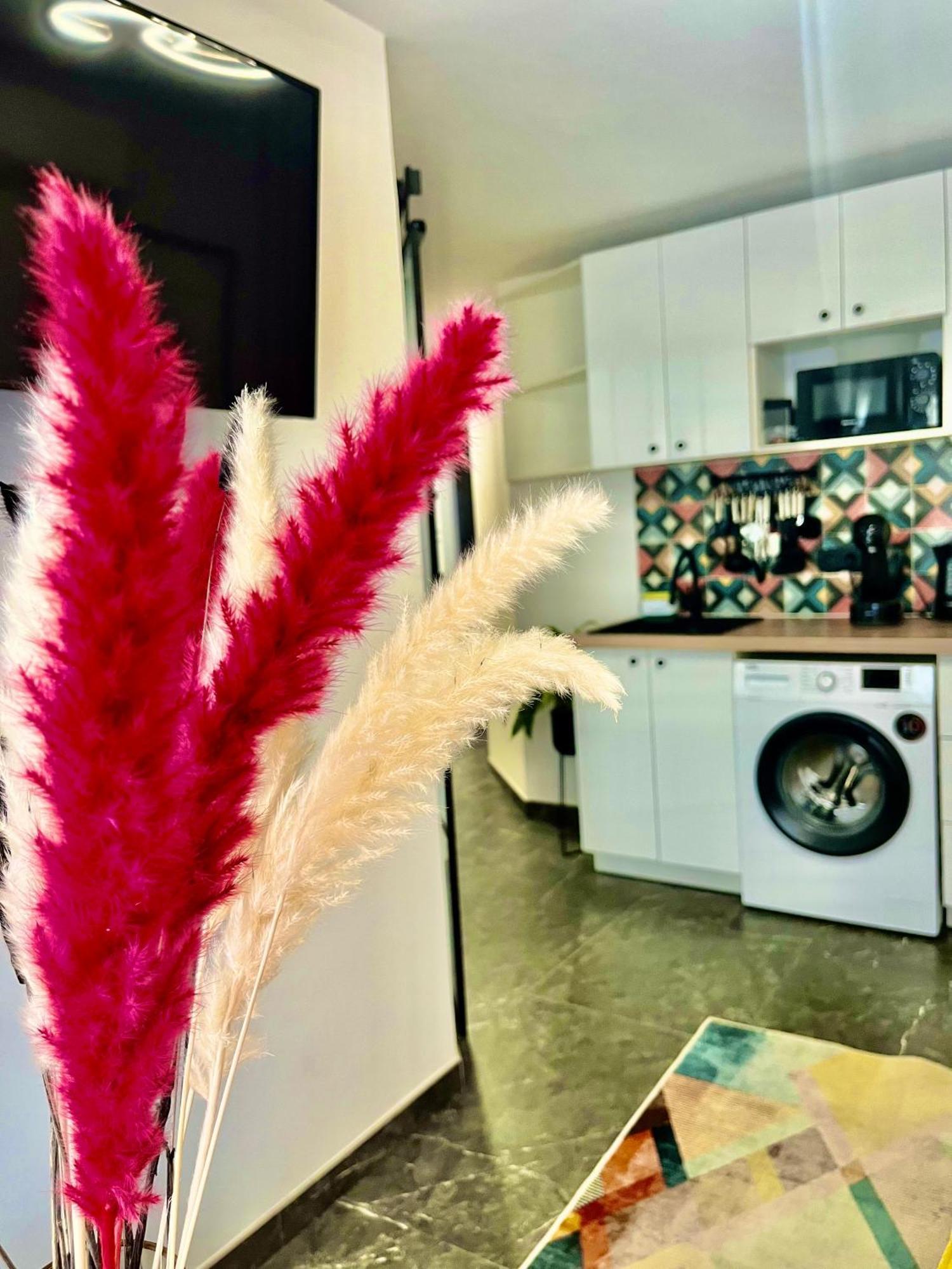 Arte Apartamento Dos Colores Alicante Buitenkant foto